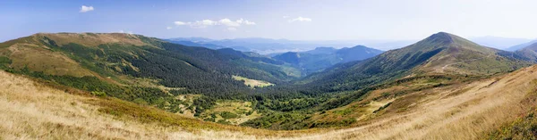 Pano vista das montanhas dos Cárpatos perto de Drahobrat . — Fotografia de Stock