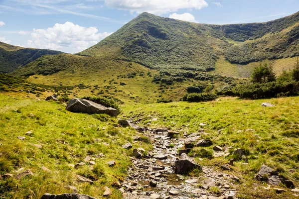 Lindas colinas e córrego de água nas montanhas dos Cárpatos . — Fotografia de Stock