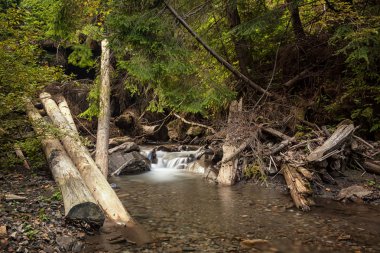 Karpat Dağları'nda güzel şelale. 
