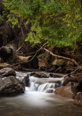 Karpat Dağları'nda güzel şelale. 