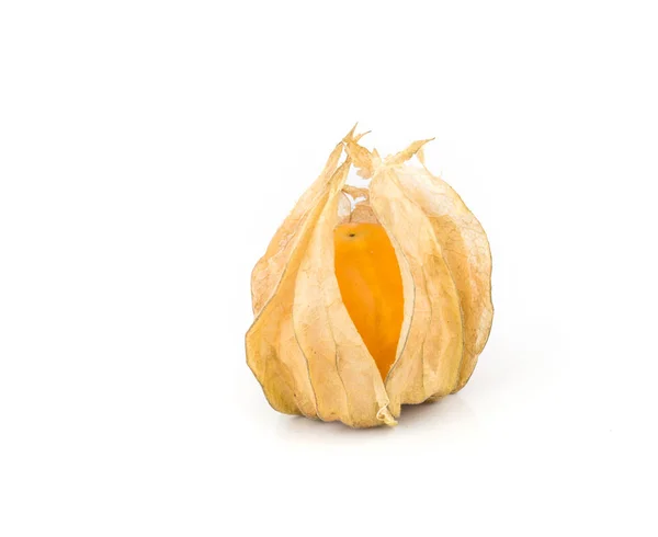 Cape gooseberry owoców. Zdjęcia Stockowe bez tantiem