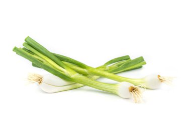 soğan yaprak sebze.