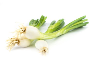 soğan yaprak sebze.