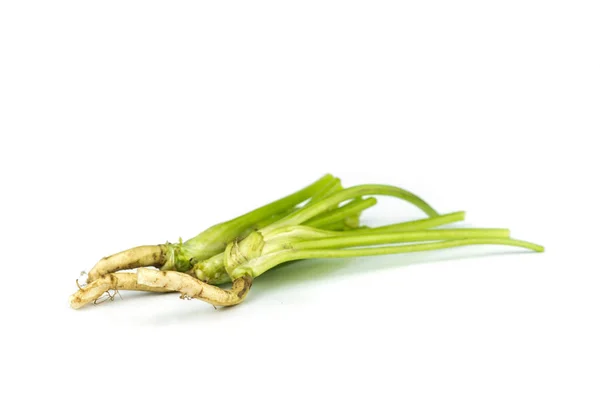 Feuilles de coriandre légume . — Photo