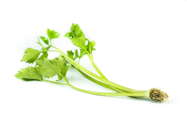 Fresh celery on white . — Stock Photo, Image