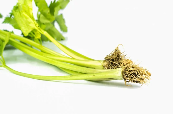 Fresh celery on white . — Stock Photo, Image
