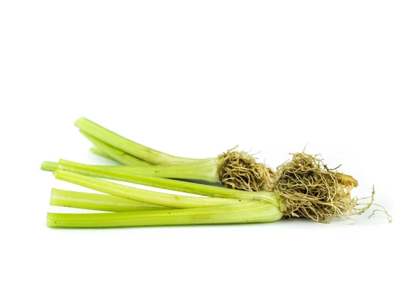 Fresh celery on white . — Stock Photo, Image