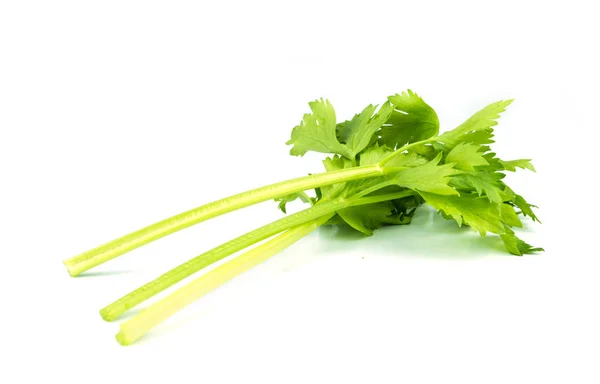 Fresh celery on white . — Stock Photo, Image