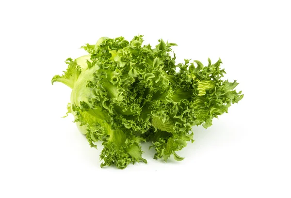 Lechuga de roble verde vegetal ecológico . — Foto de Stock