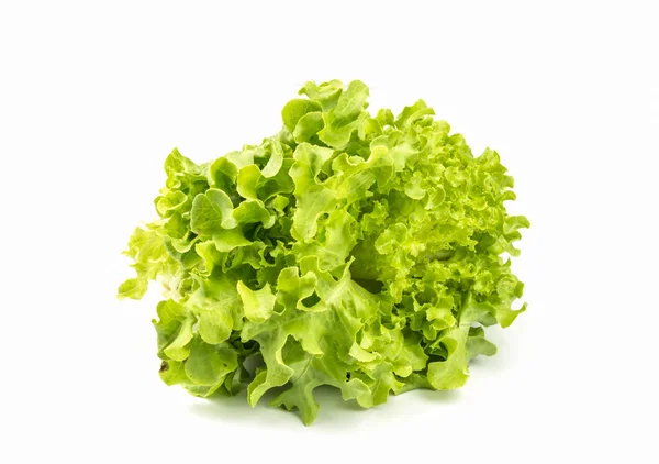 Lechuga de roble verde vegetal ecológico . — Foto de Stock