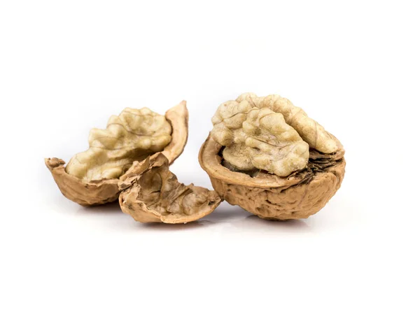 Dried walnuts fruit. — Stock Photo, Image