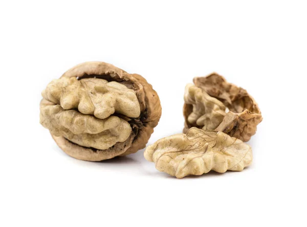 Dried walnuts fruit. — Stock Photo, Image