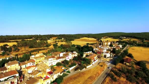 Luchtfoto van een klein oud dorpje — Stockvideo
