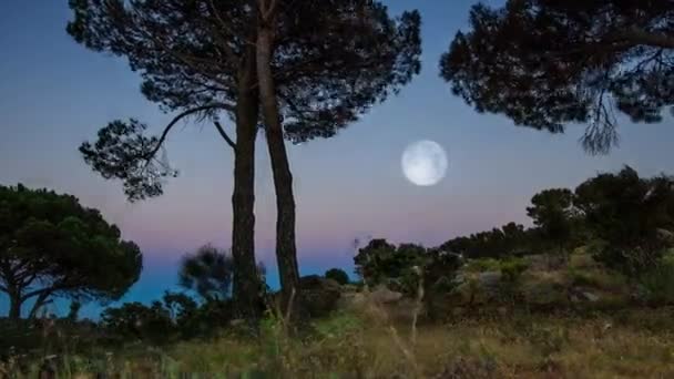 満月の時間経過に夕日 — ストック動画