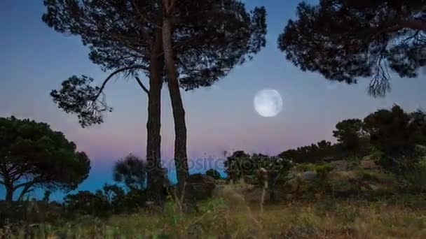 Zonsondergang volle maan tijd vervalt — Stockvideo