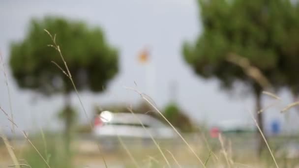 Flagge der spanischen Unabhängigkeitsbewegung Kataloniens — Stockvideo