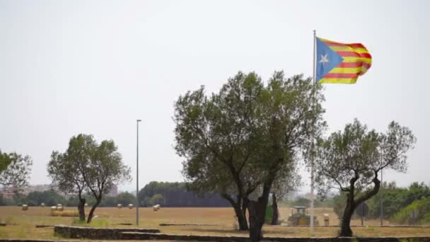 Bandera del movimiento independentista español de Cataluña — Vídeo de stock