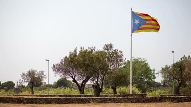 Flagge der spanischen Unabhängigkeitsbewegung Kataloniens — Stockvideo
