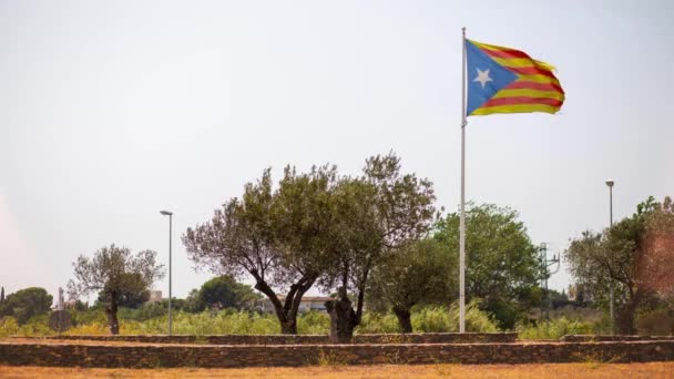 Bandera del movimiento independentista español de Cataluña — Vídeo de stock