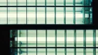 Flüoresan neon ışıklı tüpler titreme