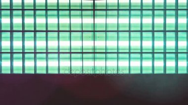 Flüoresan neon ışıklı tüpler titreme