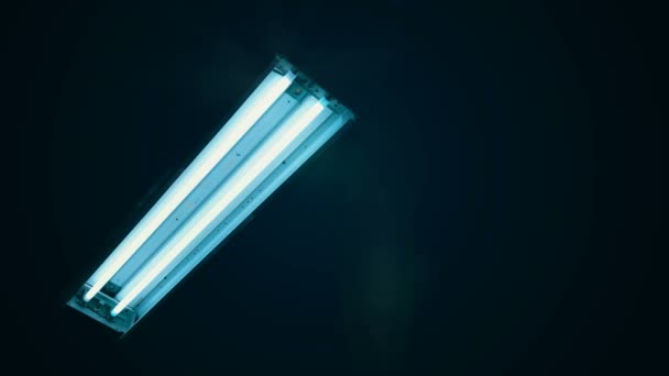Tubos fluorescentes de luz de neón parpadean — Vídeo de stock