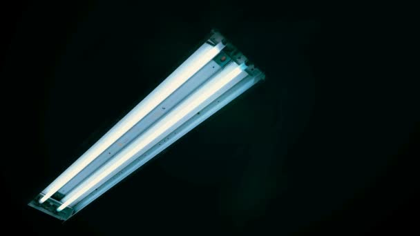 Флуоресцентные неоновые лампы мерцают — стоковое видео