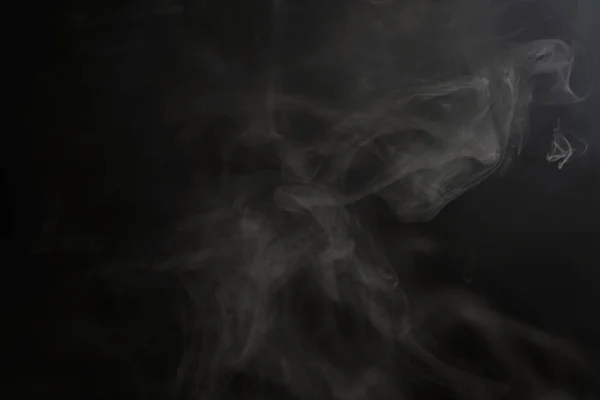 Rook op zwarte achtergrond — Stockfoto