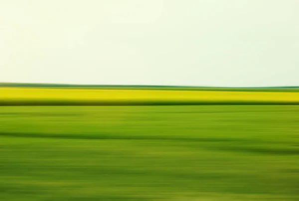 Пшеничне поле переміщене літнім вітром — стокове фото