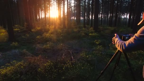 Φωτογράφος παίρνει μια εικόνα στο δάσος σιωπηλή άνοιξη με όμορφο φωτεινό ήλιο ακτίνες — Αρχείο Βίντεο