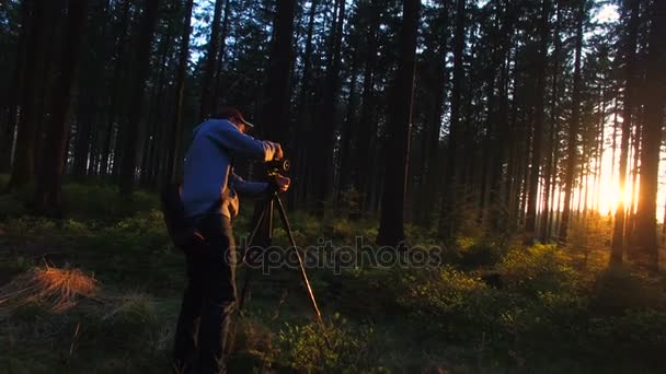 Фотограф фотографируется в Тихом лесу весной с красивыми яркими солнечными лучами — стоковое видео