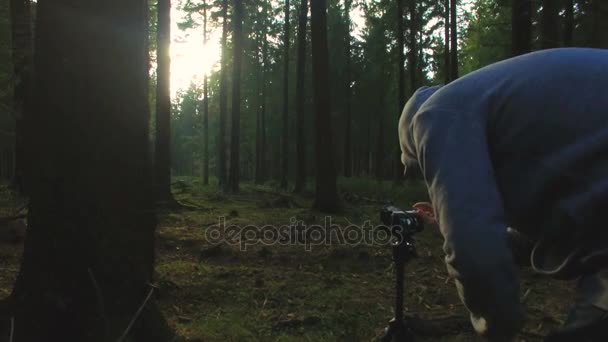 Fotograf tar en bild i tyst skog under våren med vackra ljusa solen strålar — Stockvideo