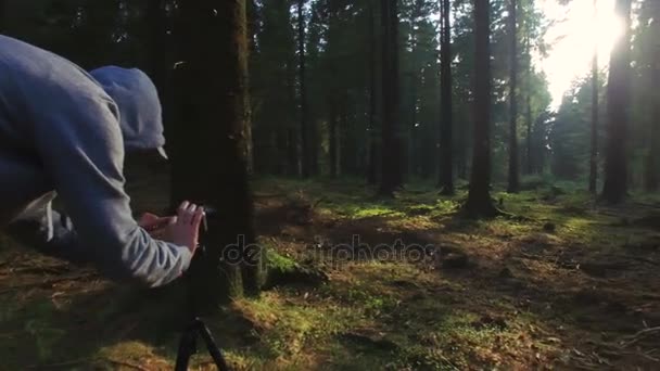 Photographe prend une photo dans la forêt silencieuse au printemps avec de beaux rayons de soleil lumineux — Video