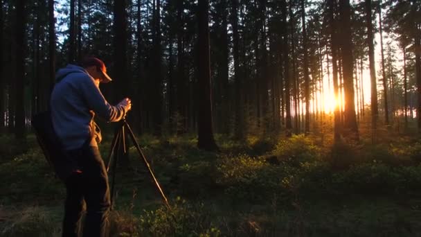 Fotograf robi zdjęcie w cichy las na wiosnę z piękne jasne słońce promienie — Wideo stockowe