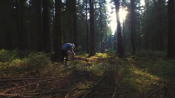 Φωτογράφος παίρνει μια εικόνα στο δάσος σιωπηλή άνοιξη με όμορφο φωτεινό ήλιο ακτίνες — Αρχείο Βίντεο