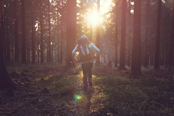Young man in silent forest with sunlight — Stock Photo, Image