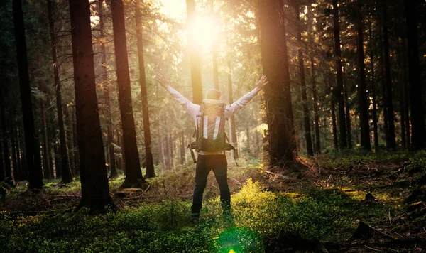 Jovem na floresta silenciosa com luz solar — Fotografia de Stock