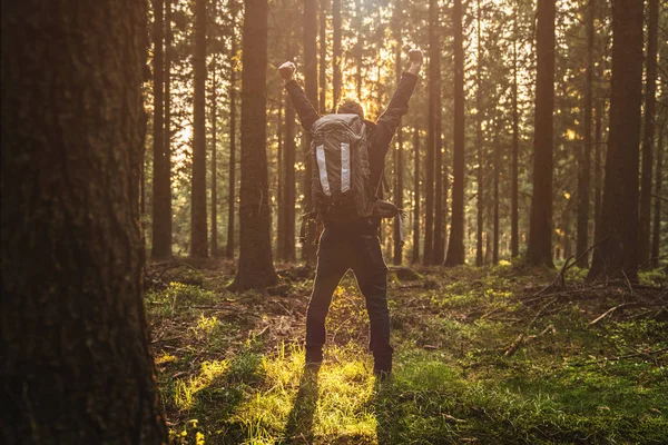 Молодий чоловік в тихому лісі з сонячним світлом — стокове фото
