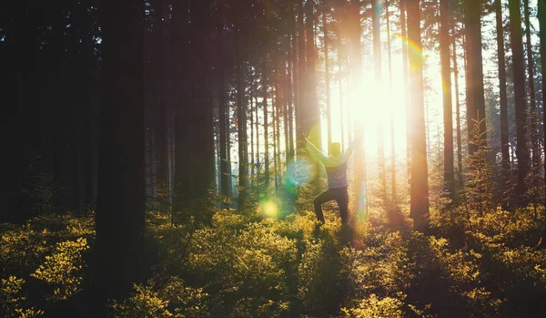 Jovem na floresta silenciosa com luz solar — Fotografia de Stock