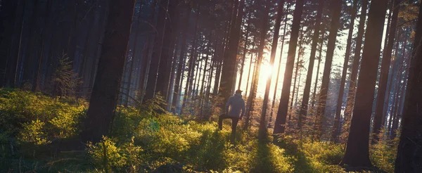 Jovem na floresta silenciosa com luz solar — Fotografia de Stock