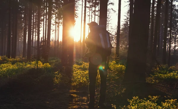 Jeune homme en forêt silencieuse avec la lumière du soleil — Photo