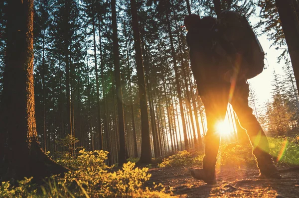 Jonge man in stille bos met zonlicht — Stockfoto