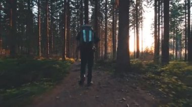 Ormanda günbatımında hiking uzun yürüyüşe çıkan kimse