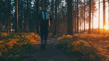 Ormanda günbatımında hiking uzun yürüyüşe çıkan kimse. 