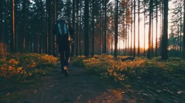 Ormanda günbatımında hiking uzun yürüyüşe çıkan kimse. 