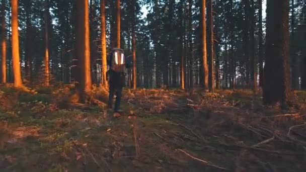 Vandrare vandring i skogen vid solnedgången. — Stockvideo