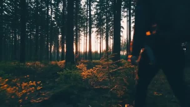 Caminhadas de caminhantes na floresta ao pôr do sol . — Vídeo de Stock