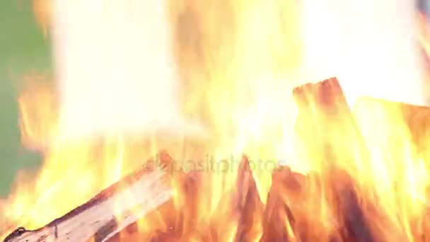 篝火上美好的夏日 — 图库视频影像