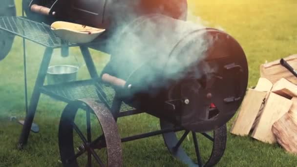 Cocinar filetes de carne y salchichas en la parrilla — Vídeo de stock