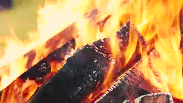 Api unggun pada hari musim panas yang bagus — Stok Video